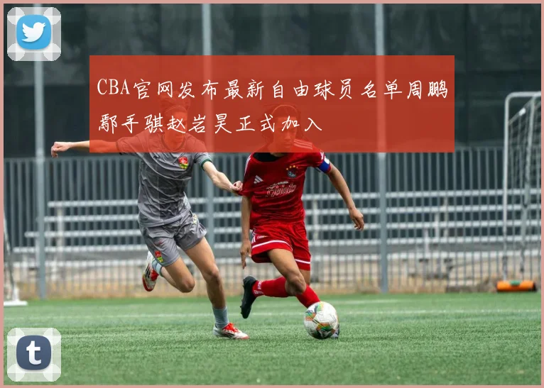 CBA官网发布最新自由球员名单周鹏鄢手骐赵岩昊正式加入