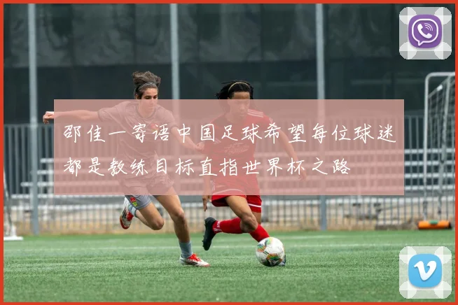 邵佳一寄语中国足球希望每位球迷都是教练目标直指世界杯之路