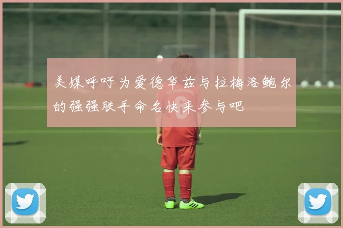 美媒呼吁为爱德华兹与拉梅洛鲍尔的强强联手命名快来参与吧