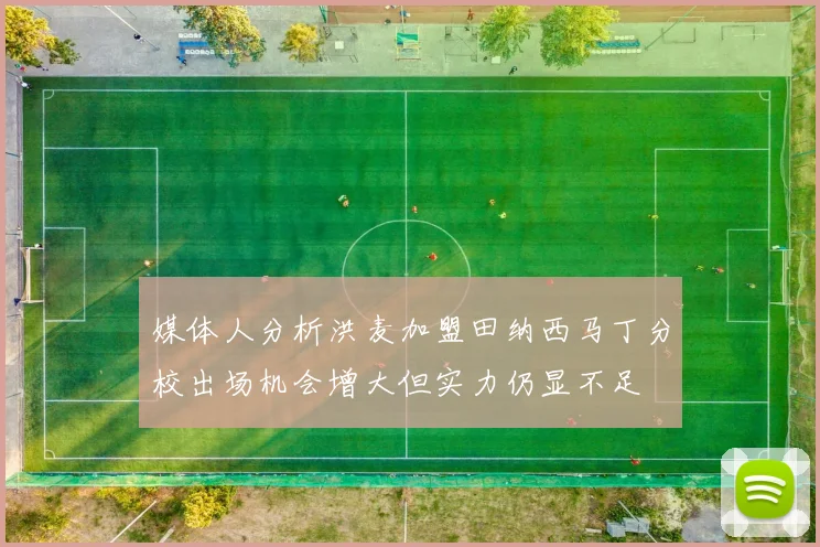 媒体人分析洪麦加盟田纳西马丁分校出场机会增大但实力仍显不足