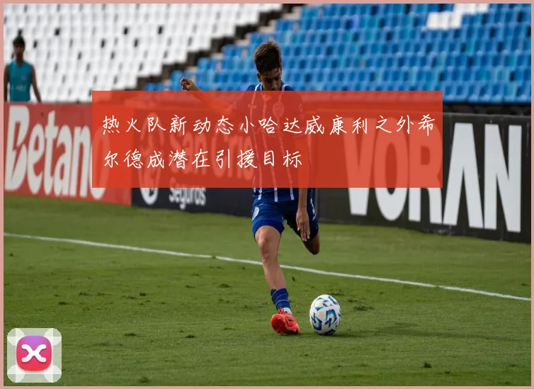 热火队新动态小哈达威康利之外希尔德成潜在引援目标